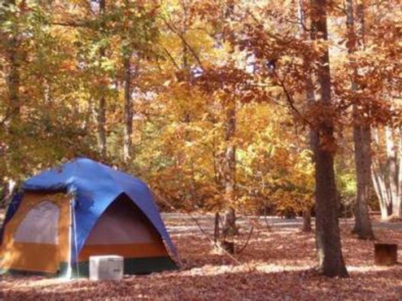 Enjoy a beautiful campsite in the Urban Oasis just  10 miles from the Nation's Capital 