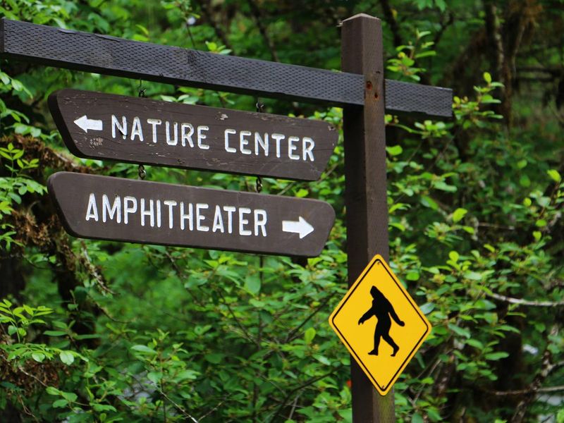 activities at Fishermen's Bend