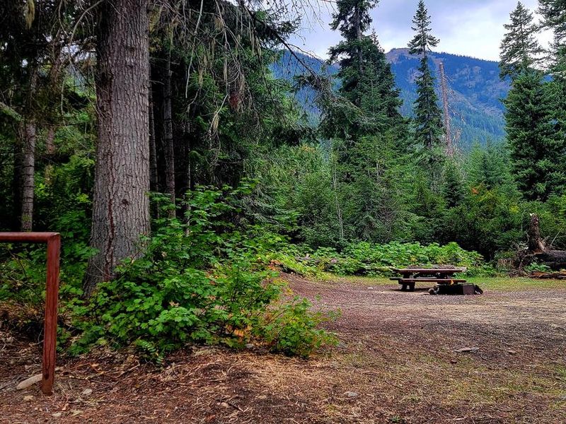 SBlack Pine Horse Camp - alternate view of site 2
