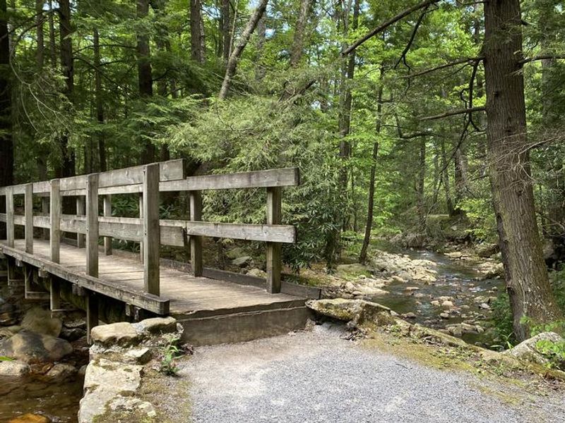 One of the bridges on the trail that goes around the campground.