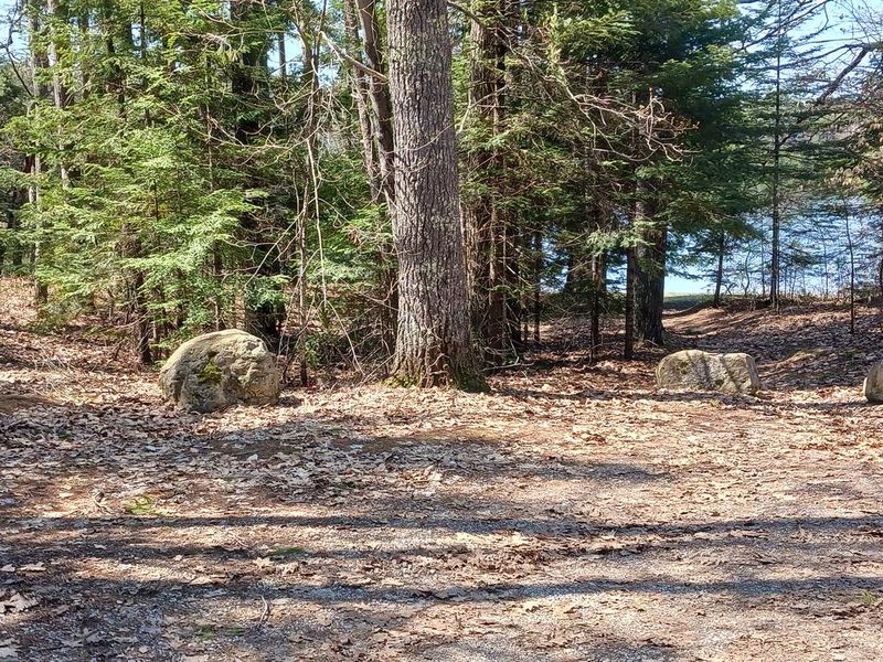  LITTLE BASS LAKE CAMPSITE Boat Launch