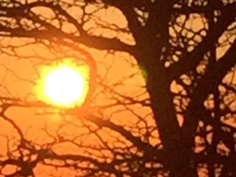 Monongahela National Forest