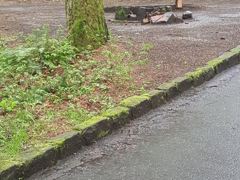 Wyeth campground Site #4