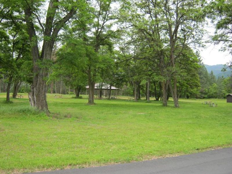 Picture of Locust Grove Group Site
