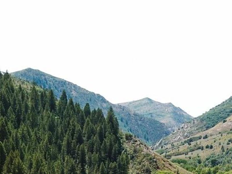 South Fork Campground