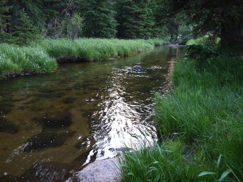 Shell Creek Campground