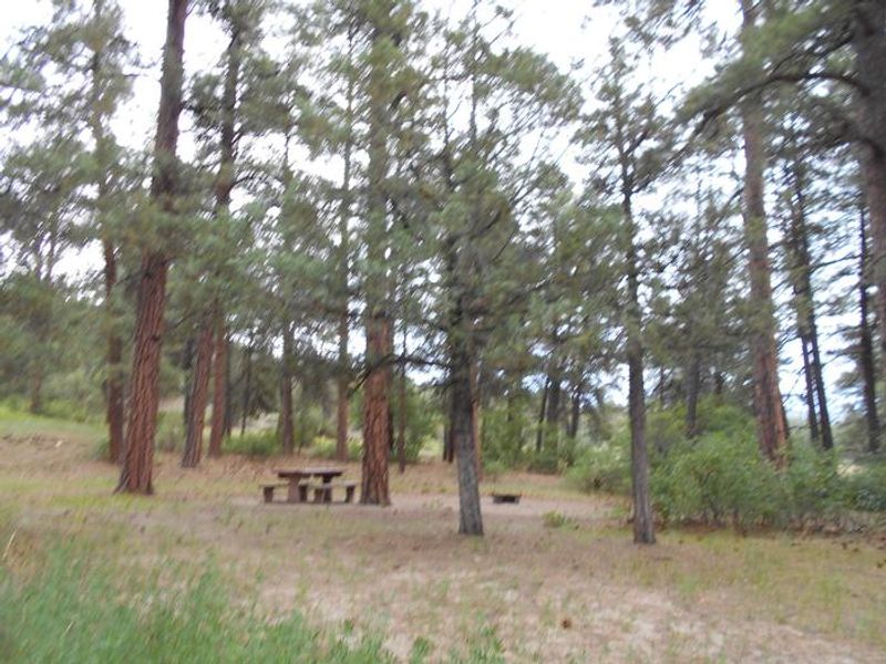 Ute Campground