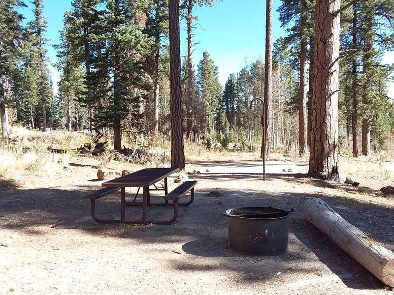 Campsite with table, fire ring, and sitting log.