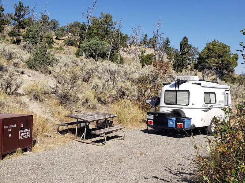 Mammoth Campsite #62