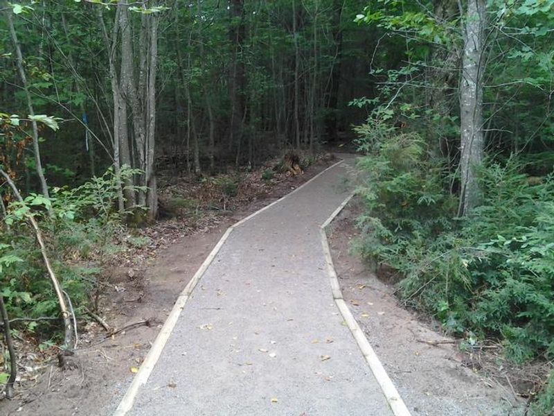Walkway leading to the Grand Island Cabins