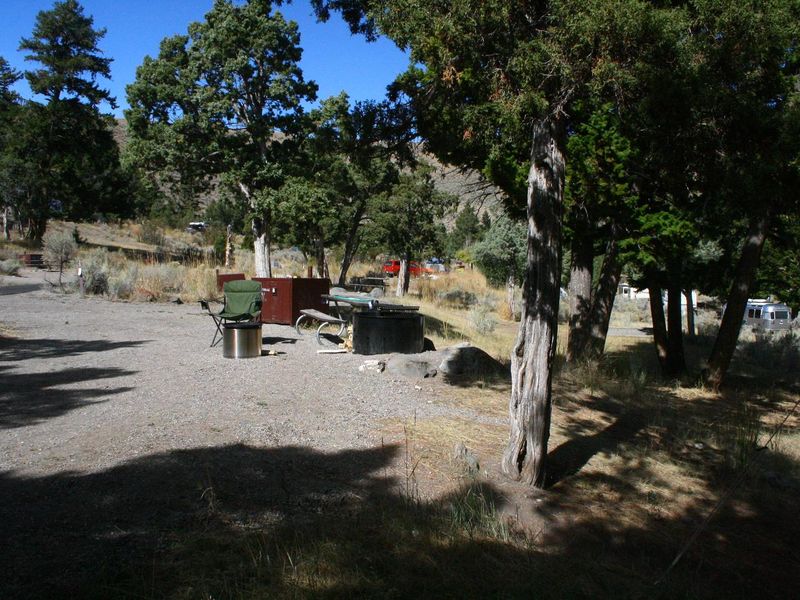 Mammoth Campsite #71