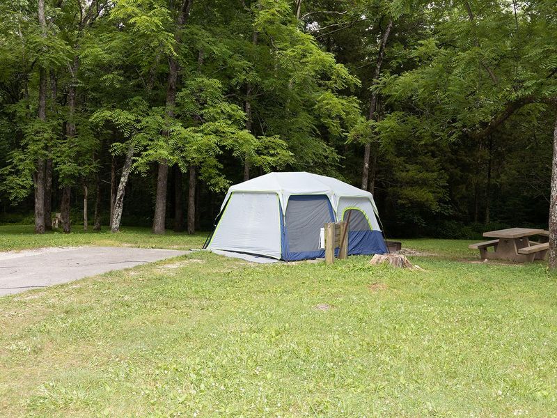 Large Equestrian/Group Site with water and electric