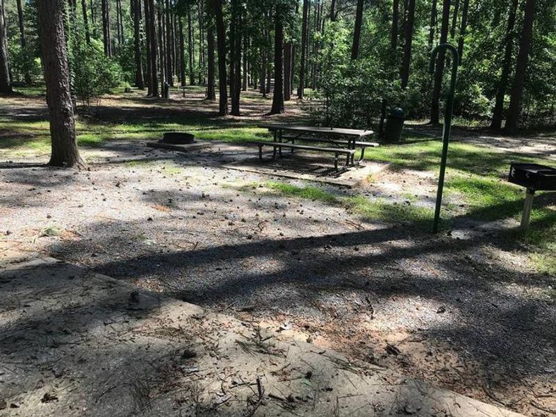 Shaded Class A Campsite #13. RV pad, water, and 20/30/50 AMP electric hook-ups as well as basic campsite amenities including a picnic table, lantern post, fire ring, trash can and grill.