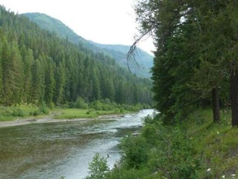 View from the Bull River Pavilion
