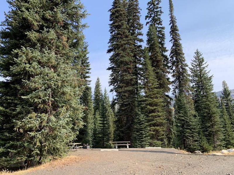 Grouse Campground Site 8 (double site)