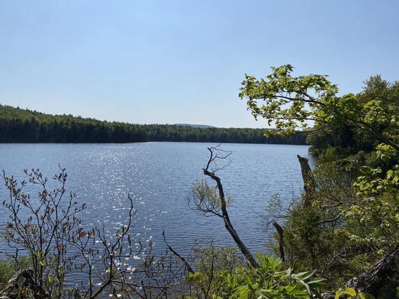 A photo of facility Grout Pond Campground with Waterfront