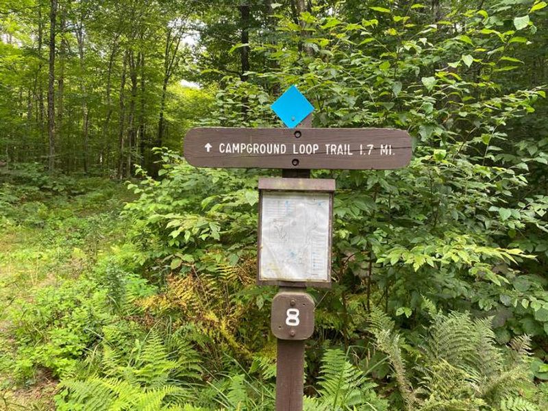 Campground Trails