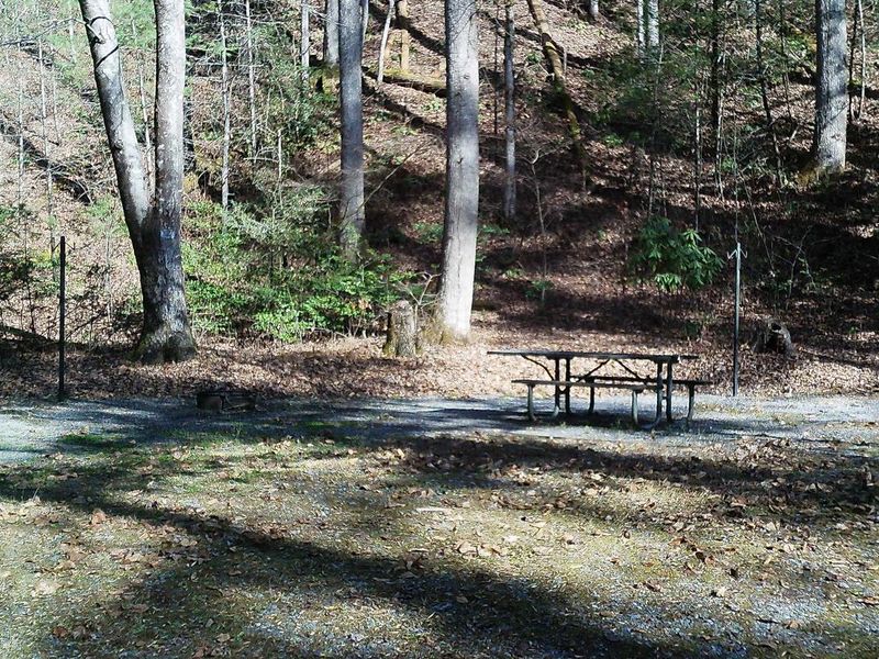 Site #10 walk in where you cross a small creek.