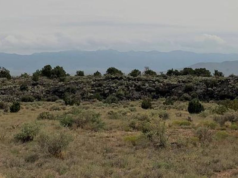 The White Mountain Wilderness in the background.
