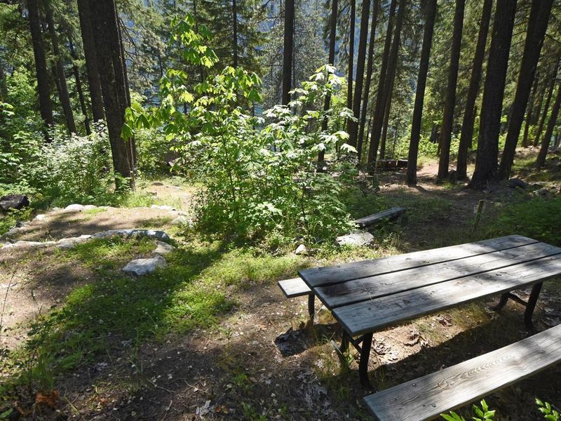 Campsite in Lakeview Campground. 