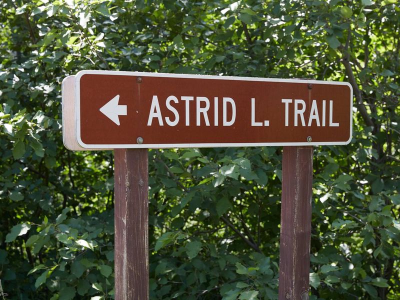 Astrid Lake Trailhead