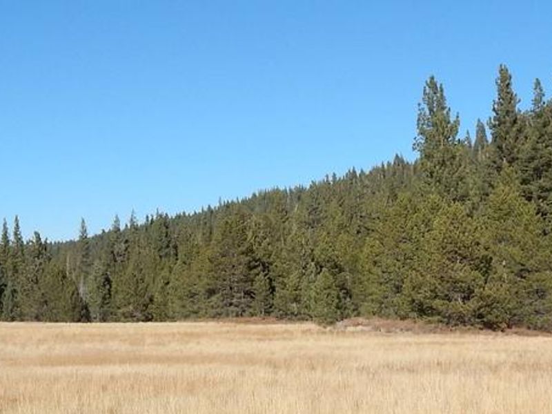 Goose Meadow Campground