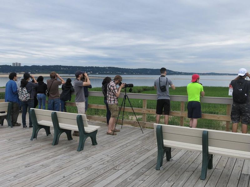 A group of visitors bird watching on the Spermaceti Cove Boardwalk.