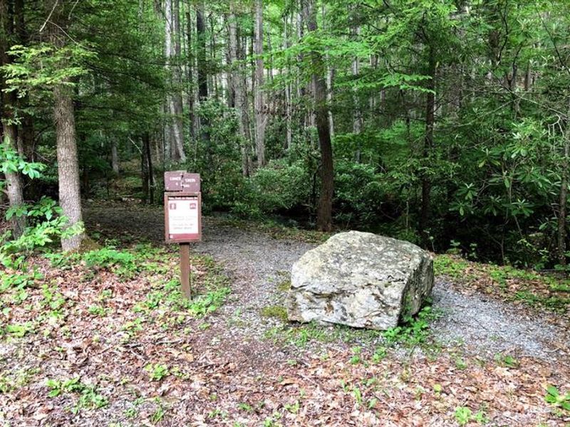 Trailhead at Hurricane Campground 
