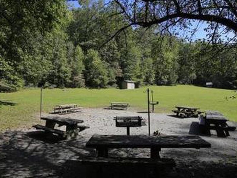 Partially shaded picnic area t Lower Cove Creek 