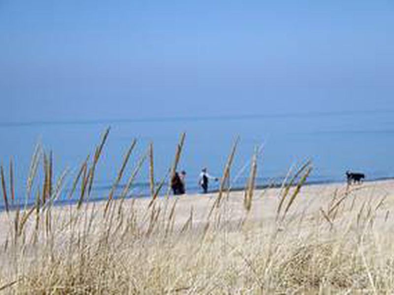 Dunbar Beach in Indiana Dunes National Lakeshore.