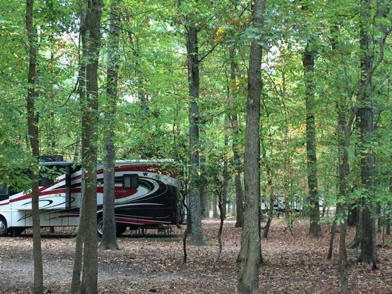 Recreational Vehicle in the D Loop in the Greenbelt Park campground