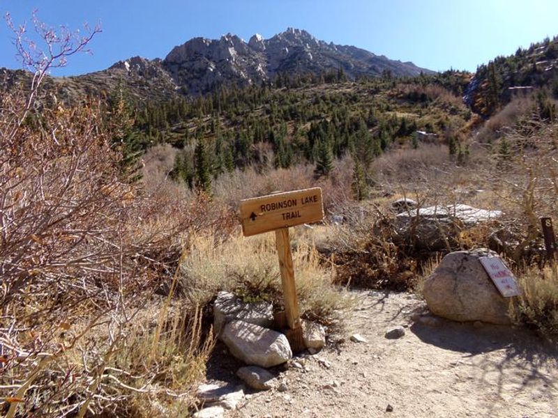 Onion Valley Campground access to trail