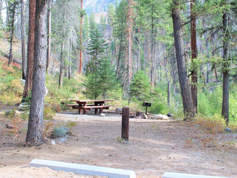 Secesh Campground Site