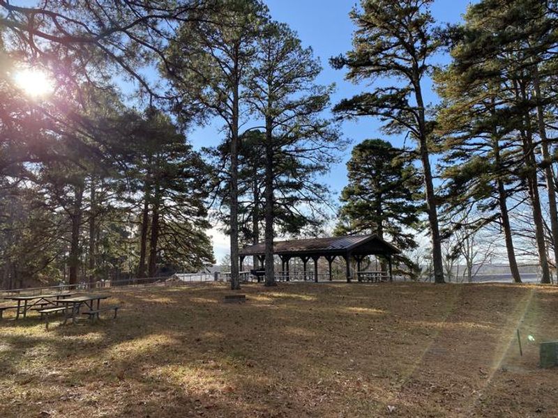 A beautiful pine bower offers a tranquil setting for any gathering. 