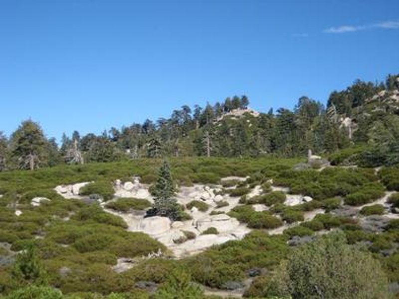 View from Shady Cove Group Campground..