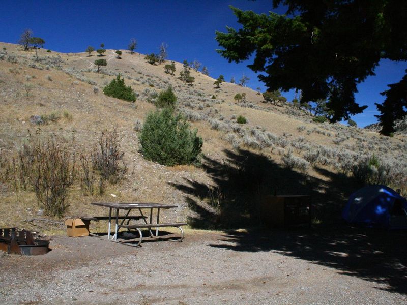 Mammoth Campsite #48