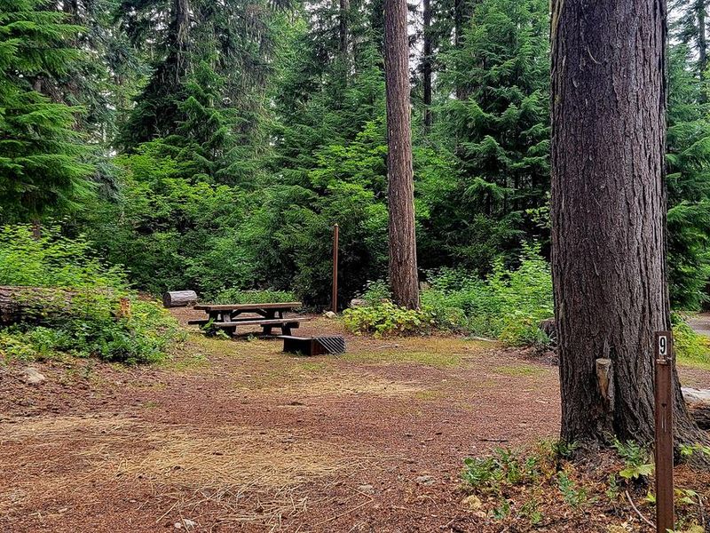 Black Pine Horse Camp - Site 9
