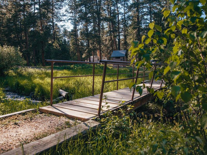 Walking path bridge that connects the North and South loop