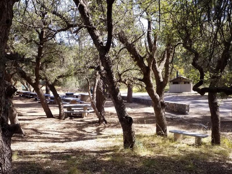 LITTLE WALNUT East Group Site