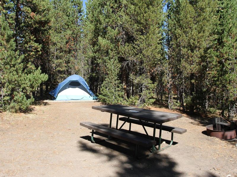 Indian Creek Campground site #48
