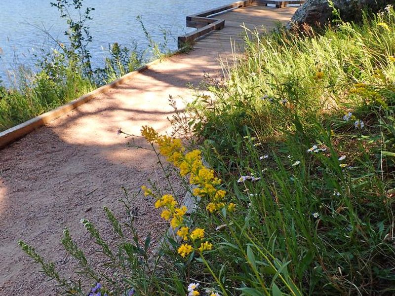 Accessible Fishing Pier