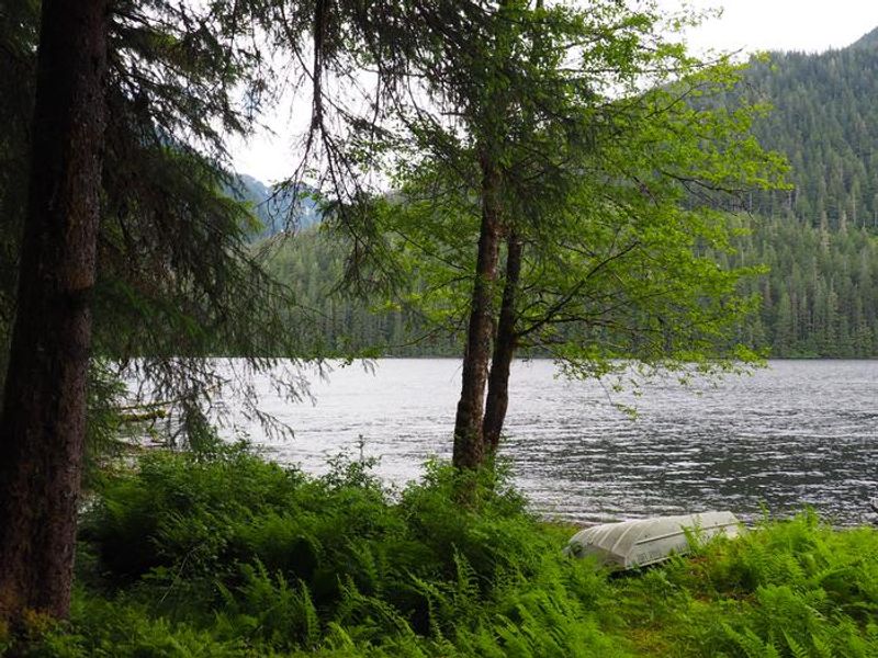 View from Eagle Lake cabin 