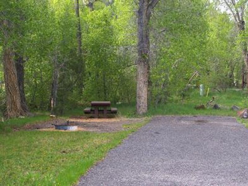 Campsite along the creek.  