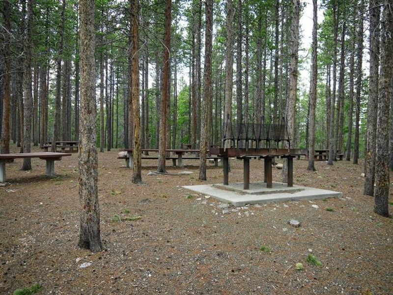 Hettinger Group Area