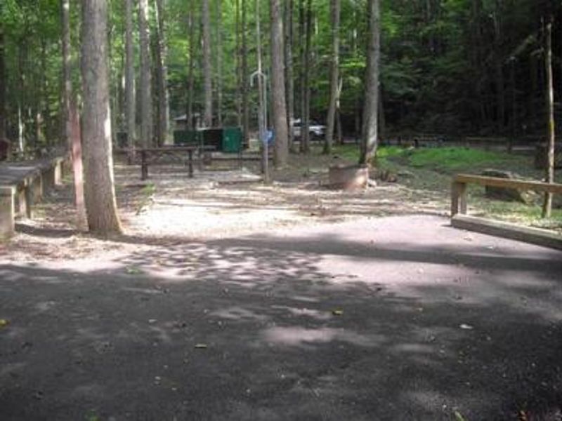 Paved roadway into campground.