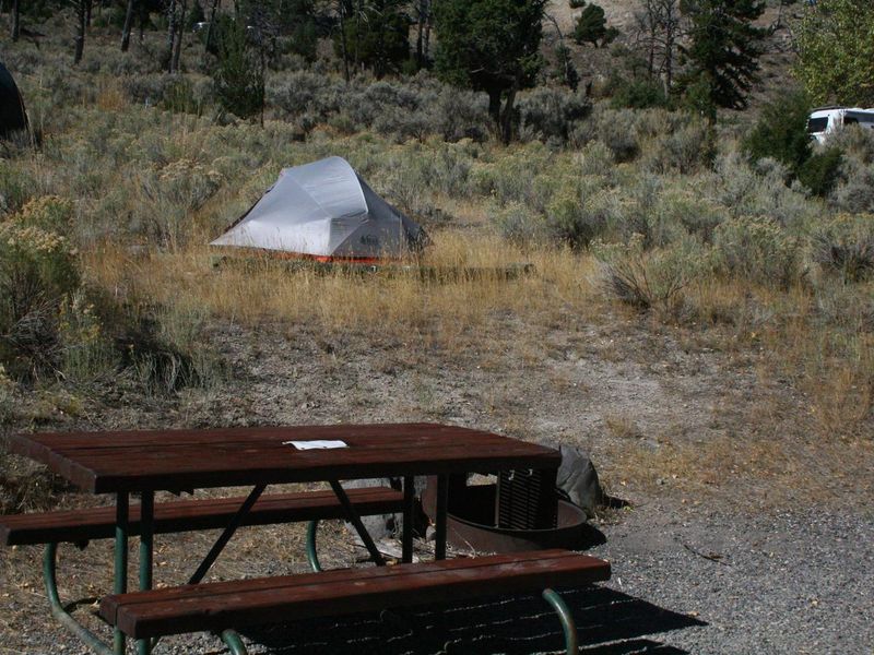 Mammoth Campsite #7