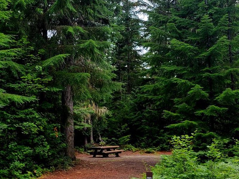 Black Pine Horse Camp - Site 13
