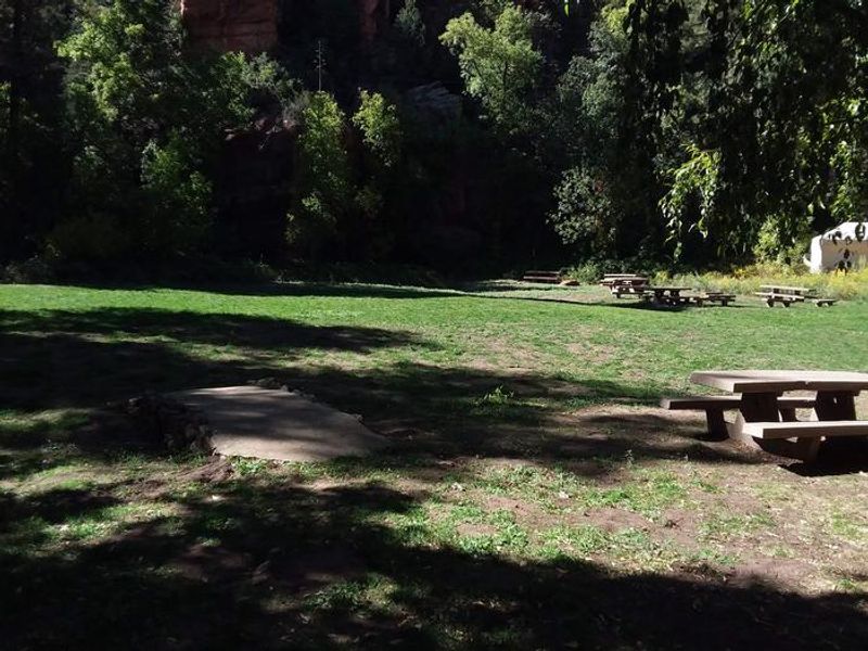 Cave Springs Picnic Areas in an Open Field