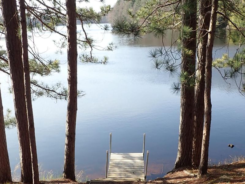 View of lake from a campsite