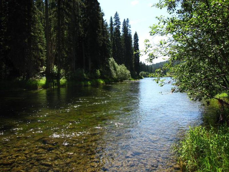 Yaak River from the campground